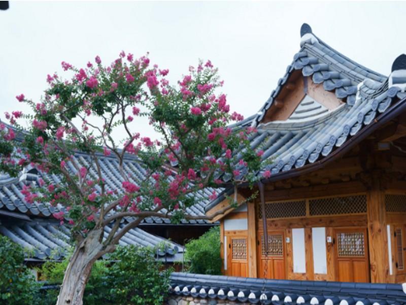 Dajeong Guesthouse Jeonju Dış mekan fotoğraf